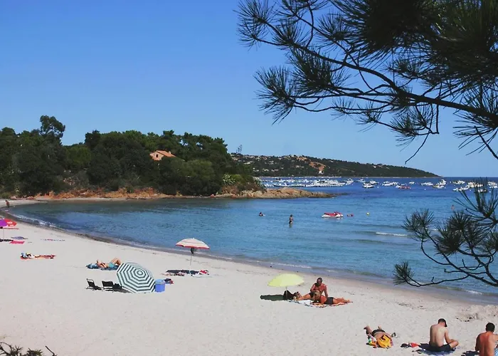 In Pinarellu Near Famous *