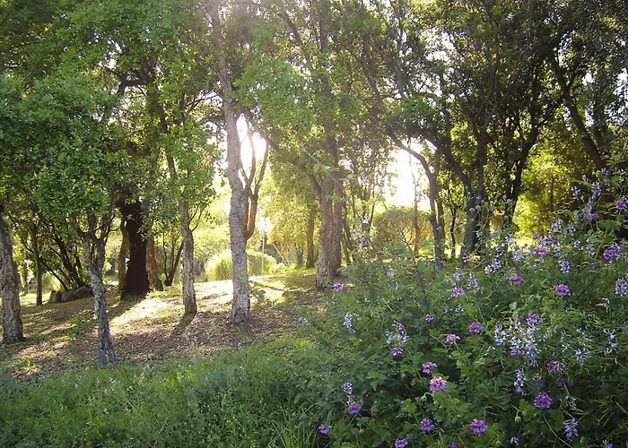 Apartmán In Pinarellu Near Famous Zonza