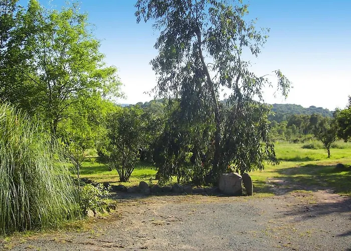 In Pinarellu Near Famous Apartmán Zonza