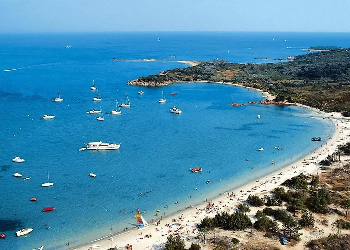 In Pinarellu Near Famous