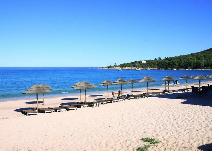 In Pinarellu Near Famous Zonza