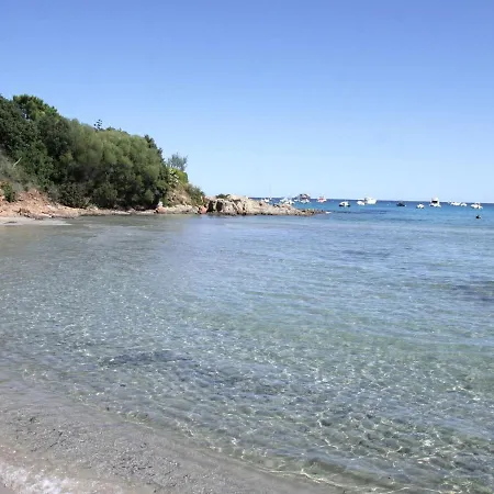 In Pinarellu Near Famous * ゾンザ