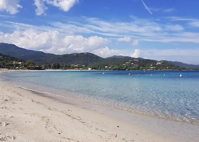Lejlighed Pinarellu Apartment Steps Away From Beach