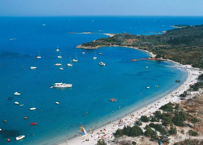 Pinarellu Apartment Steps Away From Beach Lejlighed