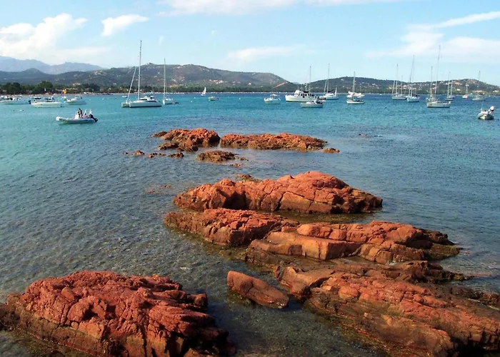 Pinarellu Apartment Steps Away From Beach Lejlighed *