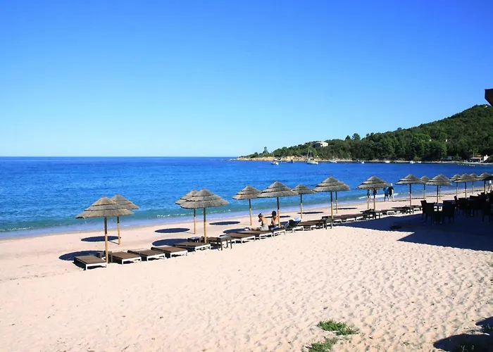 Lejlighed Pinarellu Apartment Steps Away From Beach