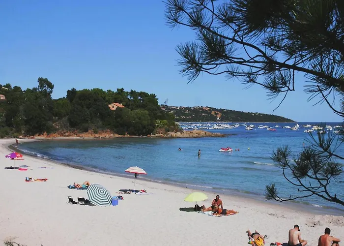 Pinarellu Apartment Steps Away From Beach Lejlighed *